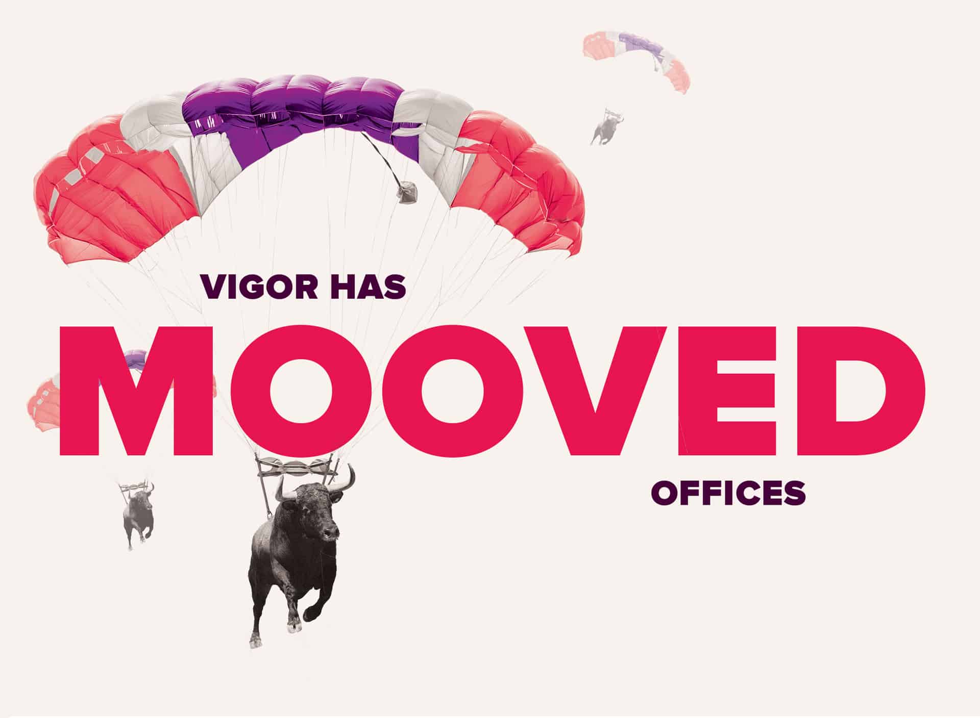 New offices for the Vigor team